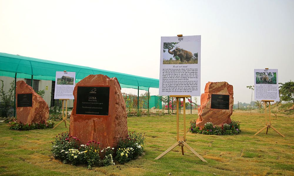 Elephant Conservation & Care Centre