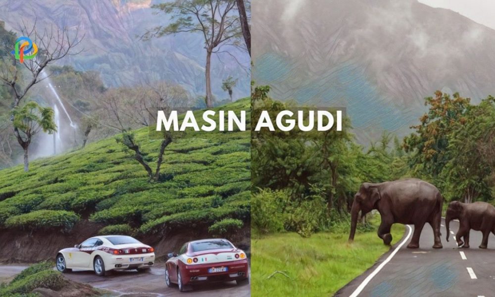 Explore Masinagudi Offbeat Paradise For Hill Station Lovers