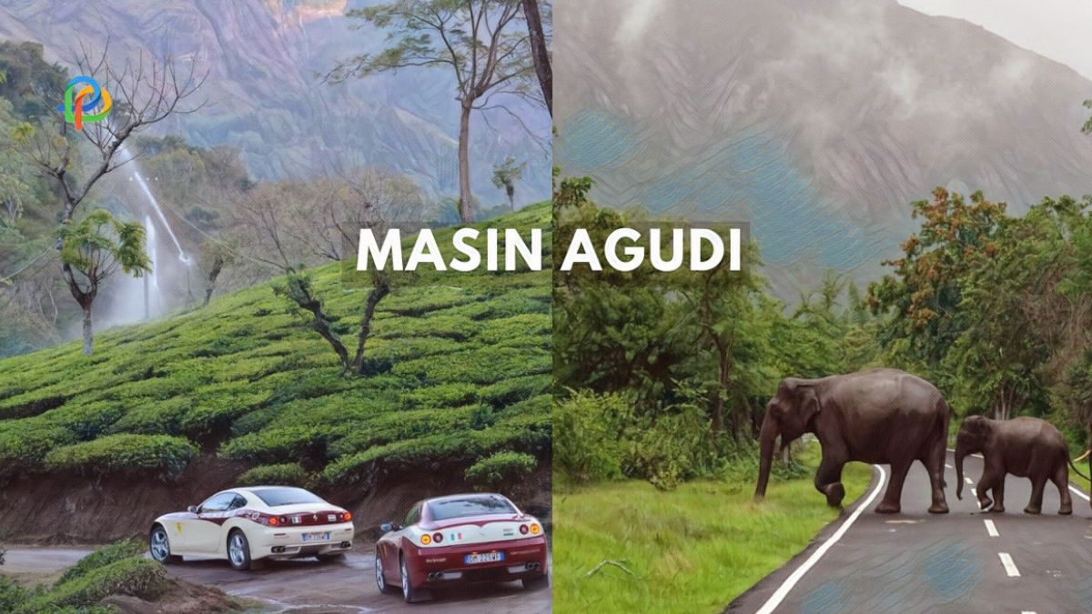 Explore Masinagudi Offbeat Paradise For Hill Station Lovers