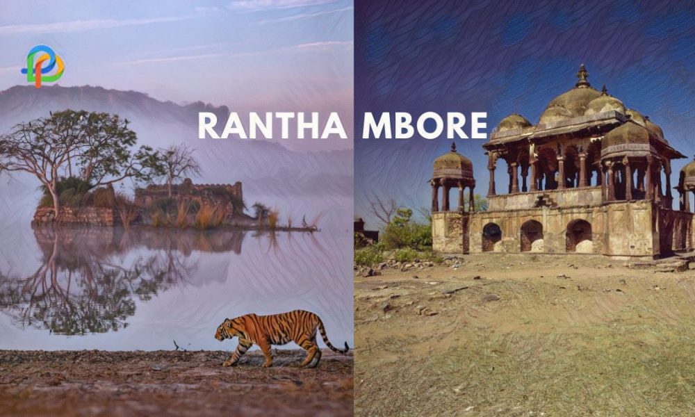 Explore Ranthambore Most Popular Landmarks In Rajasthan