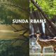 Explore Sundarbans The Attractive UNESCO Heritage Site!
