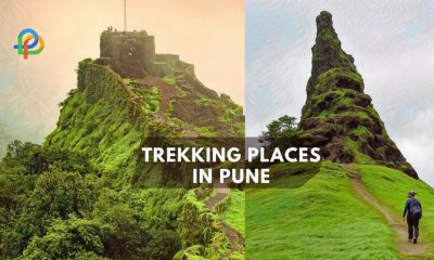 Explore The Adventurous Trekking Destinations In Pune!