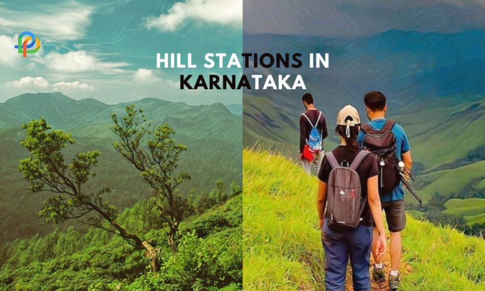Hill Stations In Karnataka Explore The Astonishing Views!