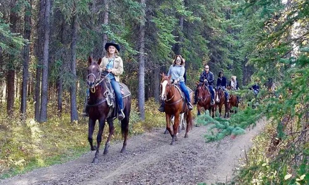 Horse Riding in Chail