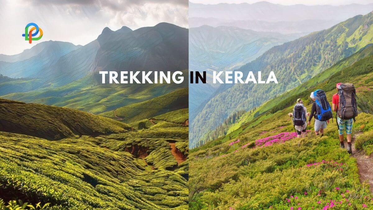 Kerala: Explore Trekking Places In God's Own Country!