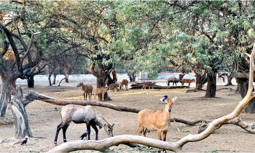 Manipur Zoological Gardens