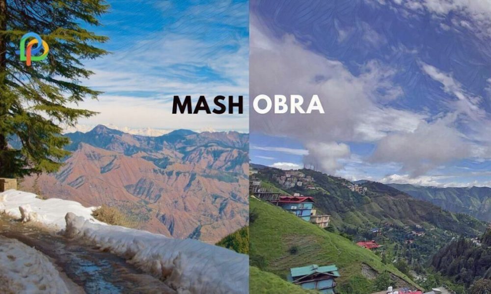 Mashobra Explore The Offbeat Destinations Of Himalayas!