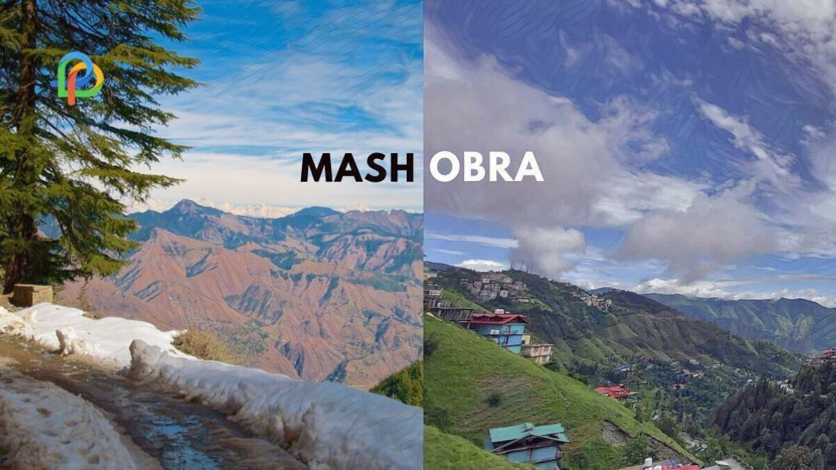 Mashobra Explore The Offbeat Destinations Of Himalayas!
