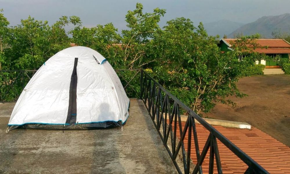 Masinagudi Camping