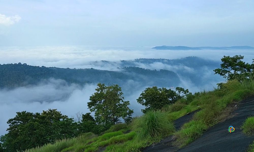 Nadukani-Tourist Places in Kottayam