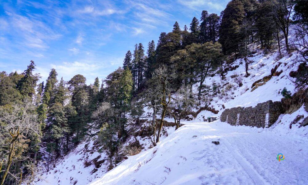 Narkanda-Tourist Destinations In Himachal Pradesh