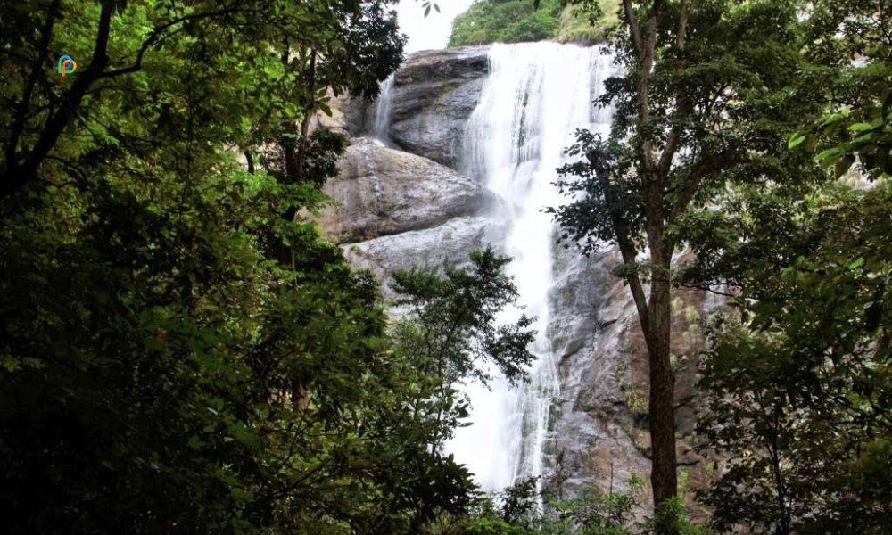 Palaruvi Falls