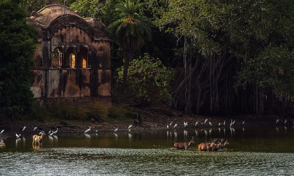 Raj Bagh Ruins