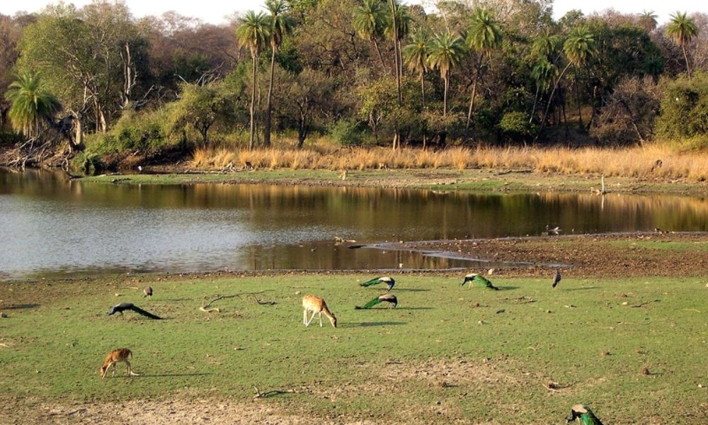 Raj Bagh Talao