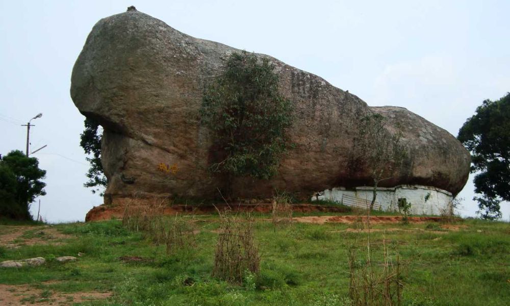 Ranganathaswamy Betta Night Trek, Bilikal Betta