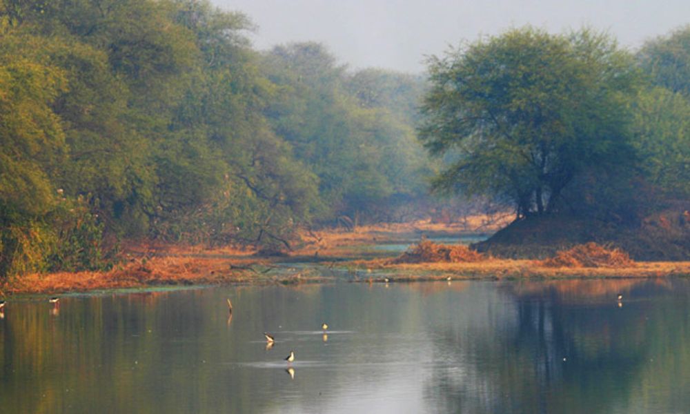 Sardar Samand Lake