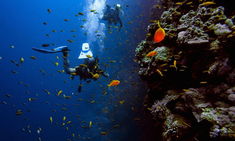 Scuba Diving In Pondicherry