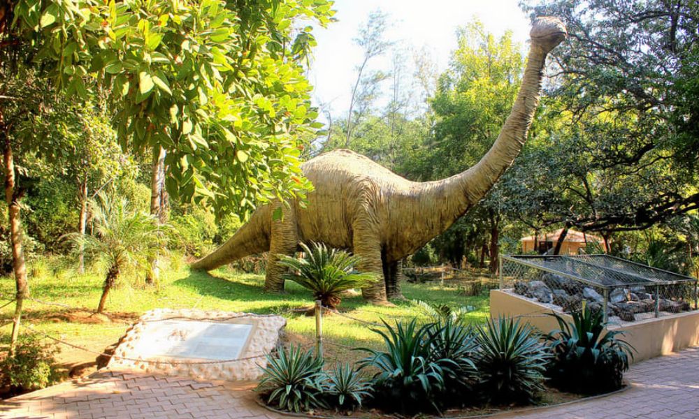 Shivalik Fossil Park