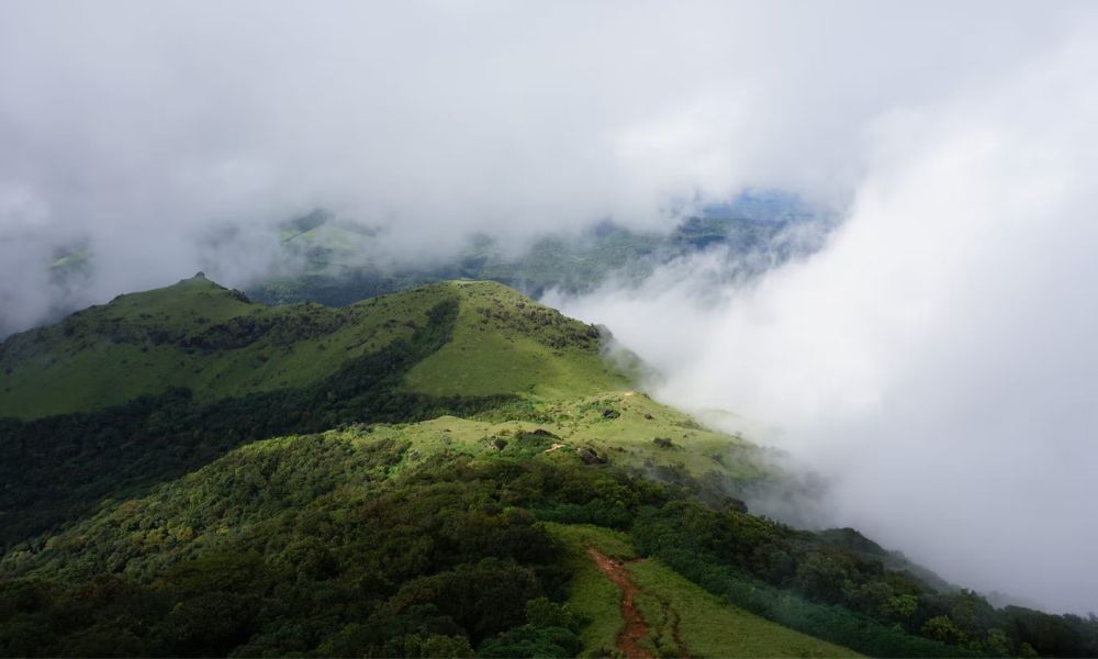 Tadiyandamol Trek, Coorg