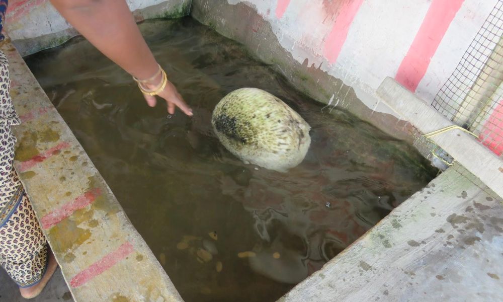 The Floating Stones Of Rameshwaram, Tamil Nadu