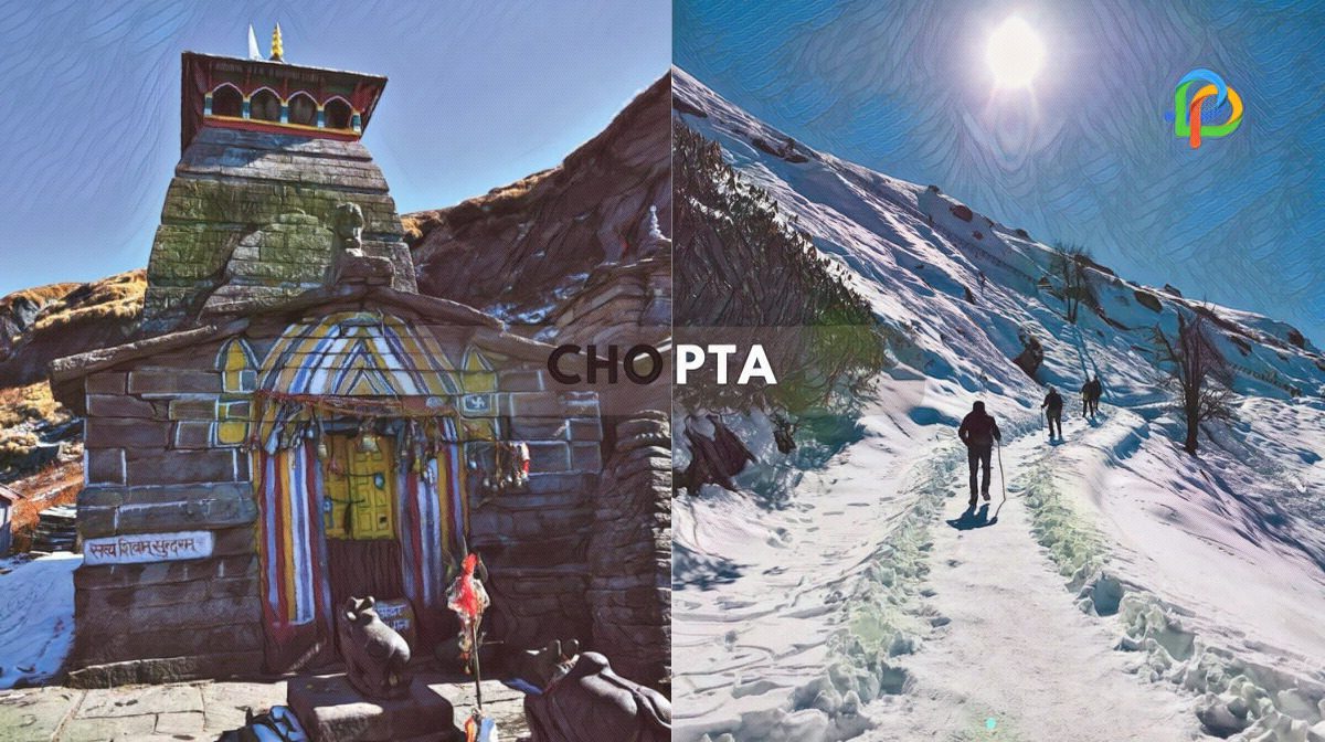 The Mini Switzerland of Uttarakhand Places To Visit In Chopta With Family