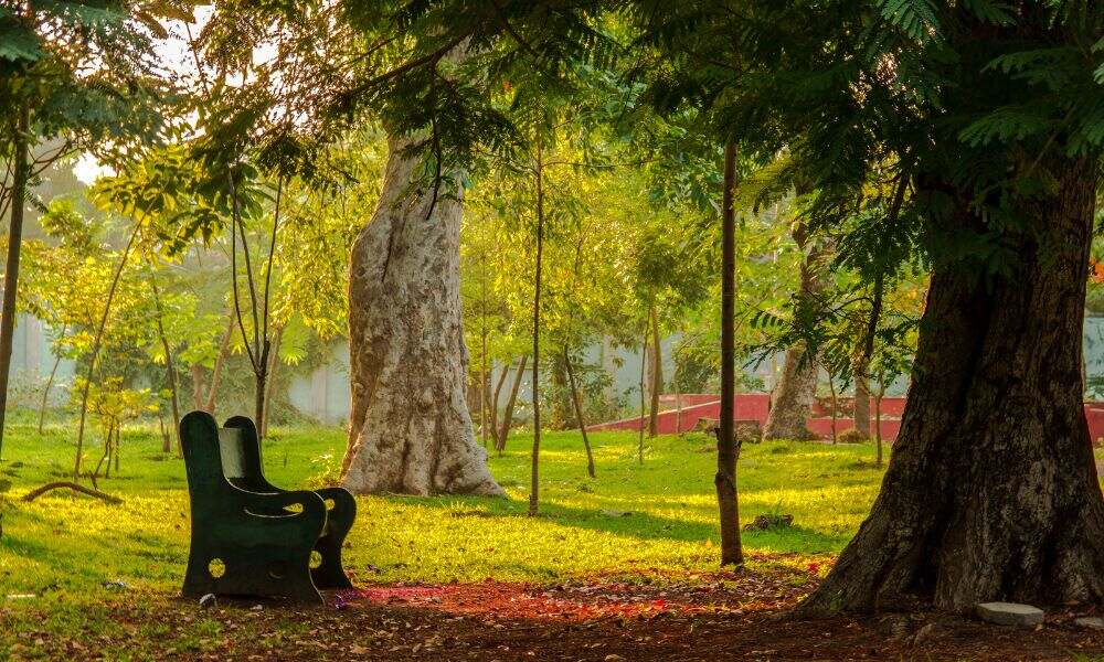 The Pondicherry Botanical Garden 