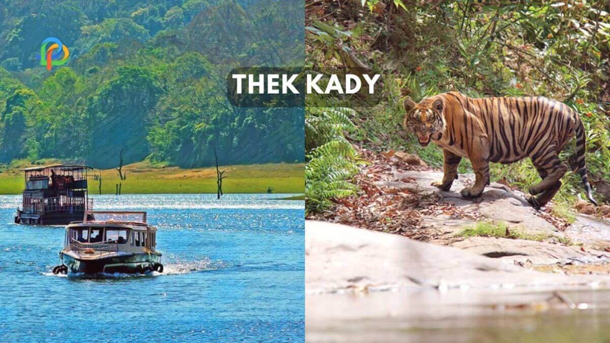Thekkady Explore The Nature Heaven Of Kerala!