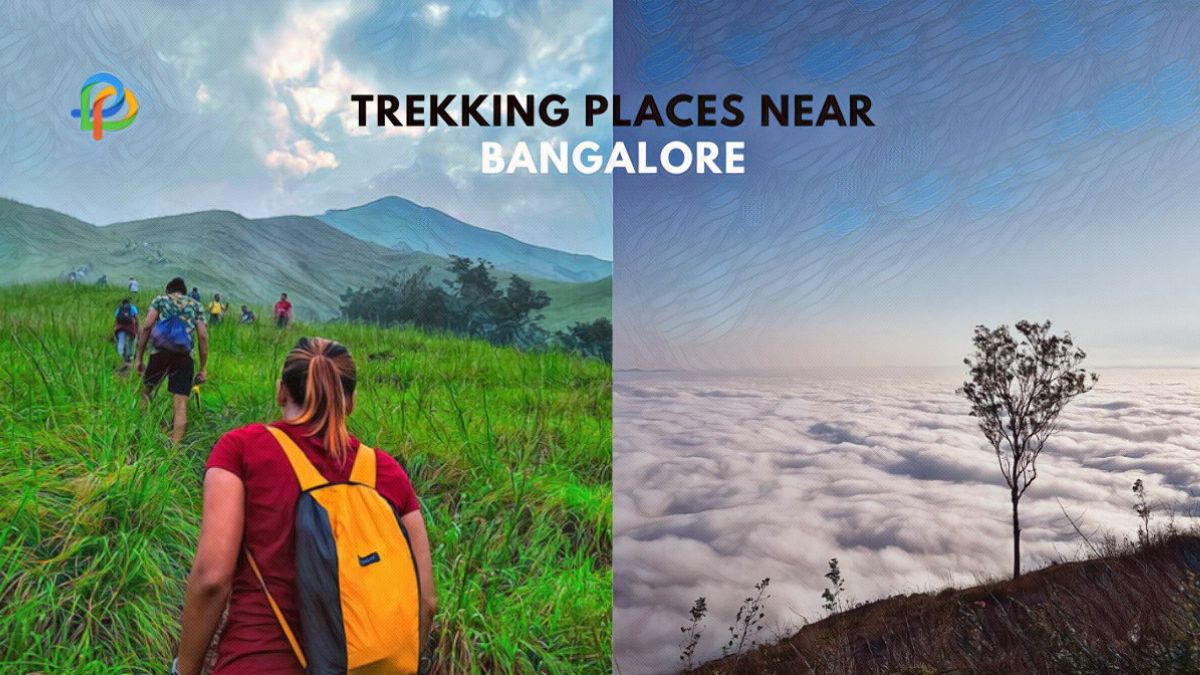 Trekking Places Near Bangalore