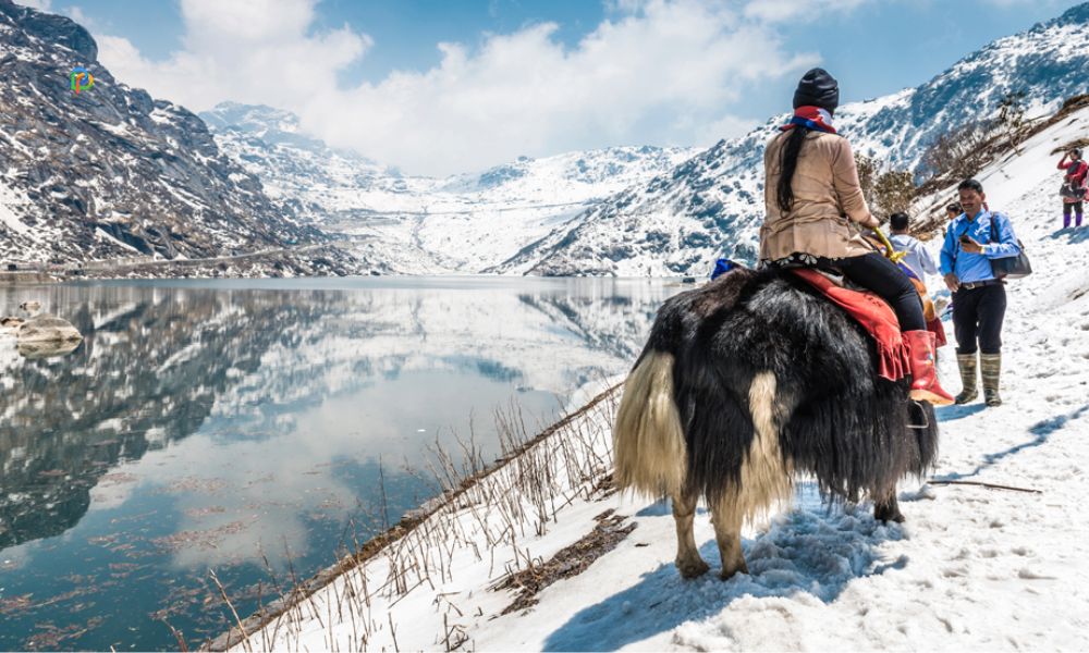 Tsomgo Lake, Sikkim