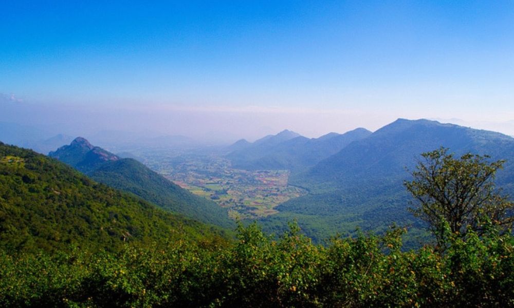 Exploring Yercaud Hill Station: A Complete Tour Guide!