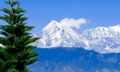 Kausani: Explore The Beauty Of Charming Hill Station In Uttarakhand