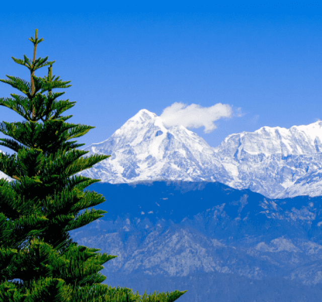 Kausani: Explore The Beauty Of Charming Hill Station In Uttarakhand