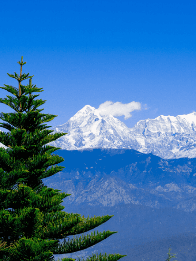 Kausani: Explore The Beauty Of Charming Hill Station In Uttarakhand
