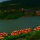 places to visit in Lavasa