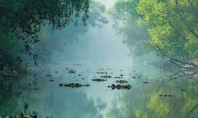 Places to visit in Sundarbans