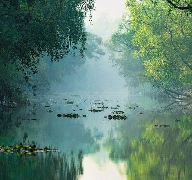 Places to visit in Sundarbans