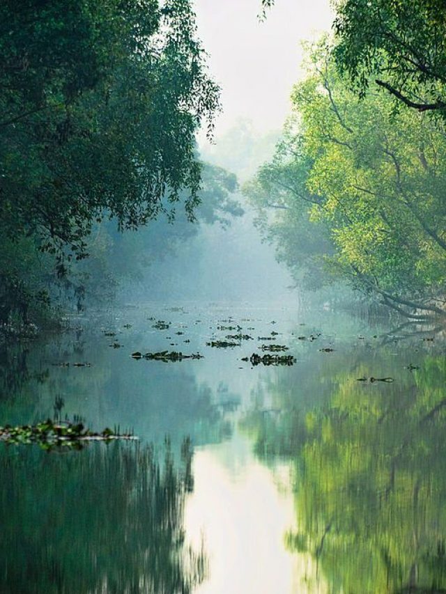 Sundarban Wildlife Tour: Best Places To Visit In 2023!