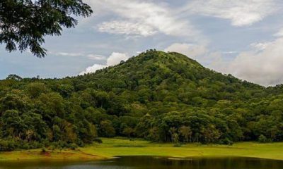 Places to visit in thekkady