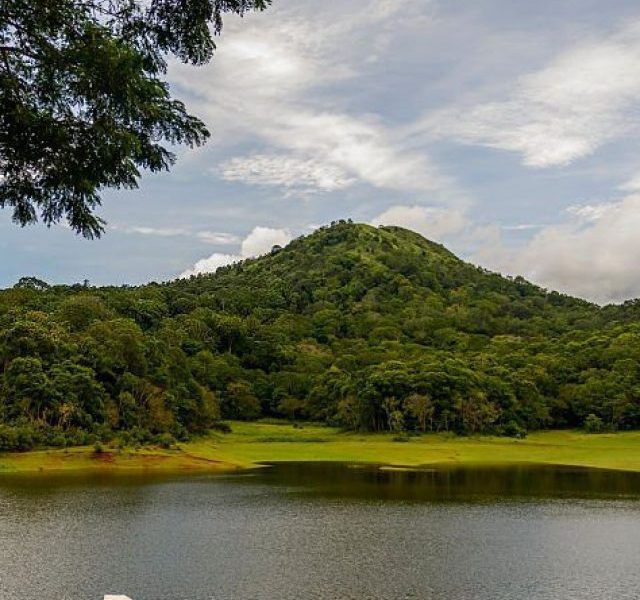 Places to visit in thekkady