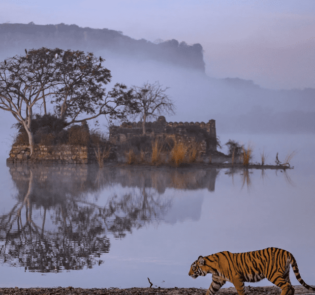 Discover The Most Famous Places In Ranthambore, Rajasthan