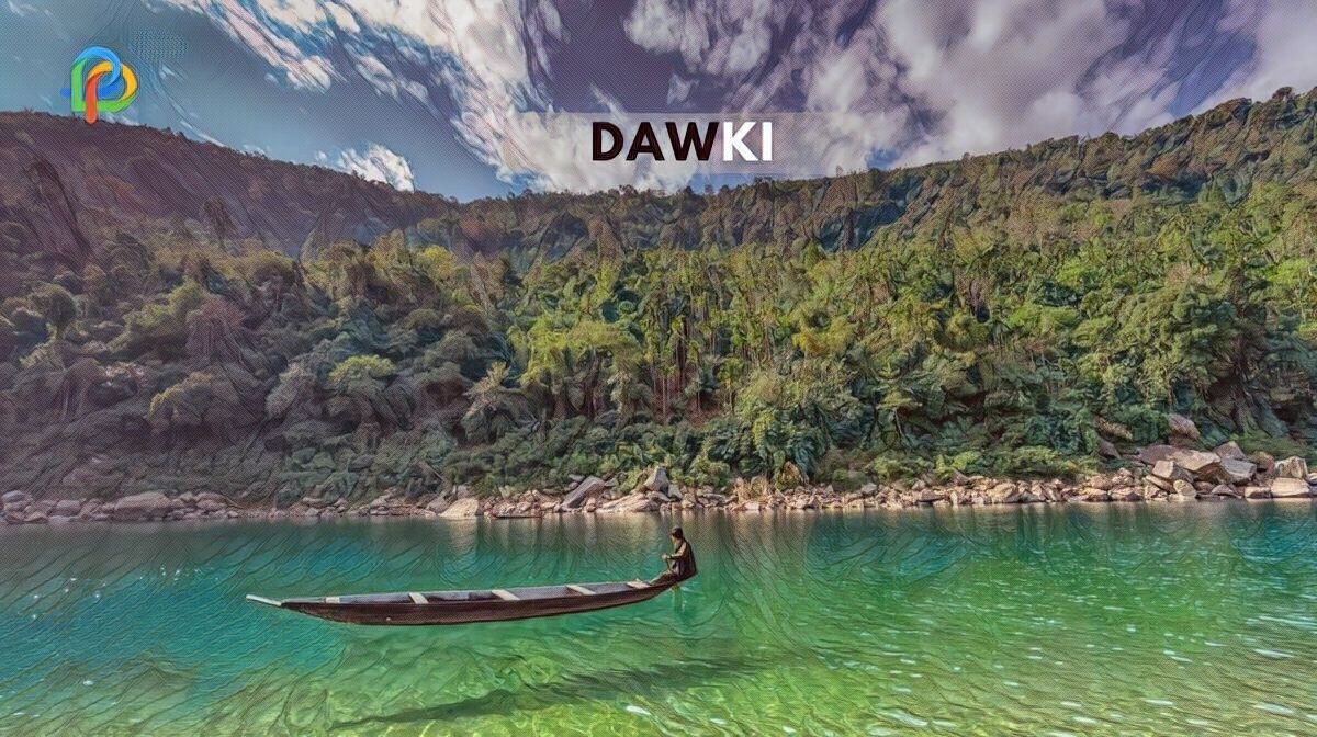 A Detailed Travel Guide To The Town Of Dawki!