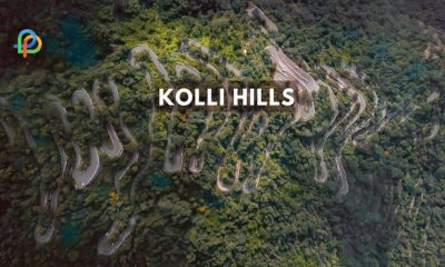A Vibrant Travel Plan To Kolli Hills-Tamil Nadu 2023!