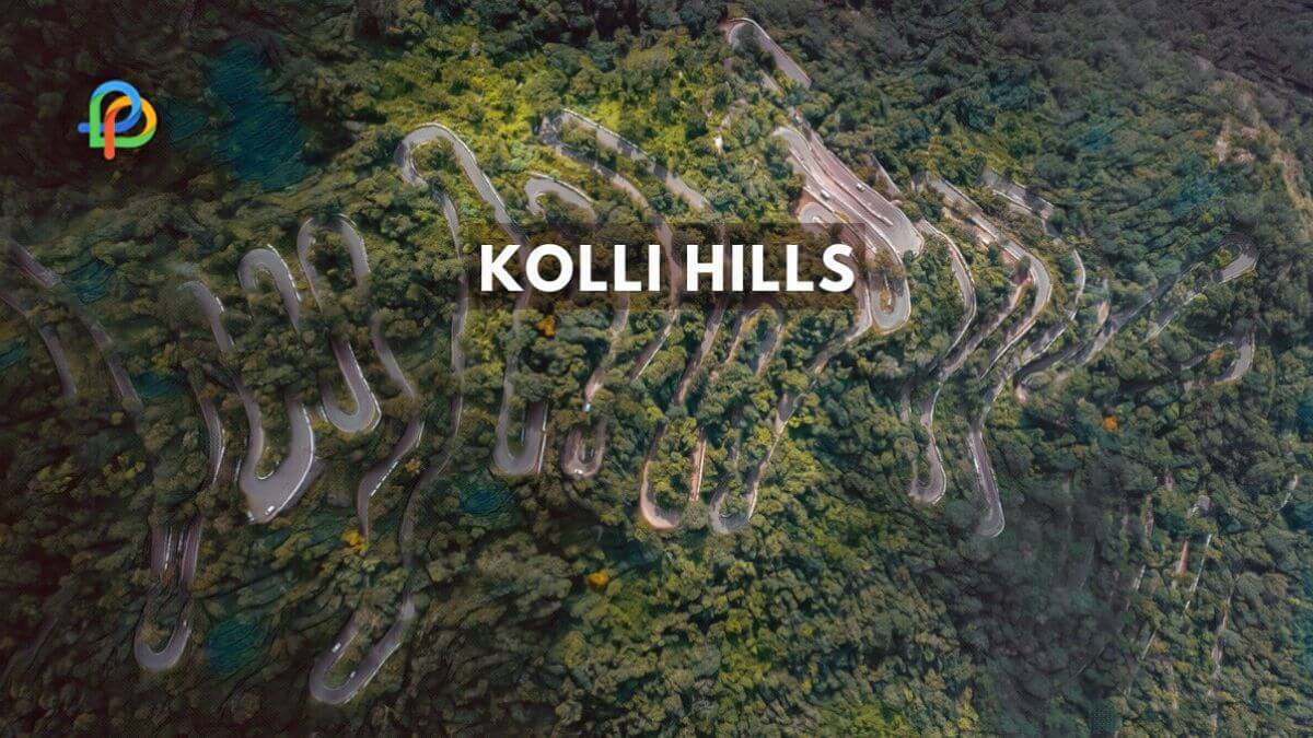 A Vibrant Travel Plan To Kolli Hills-Tamil Nadu 2023!