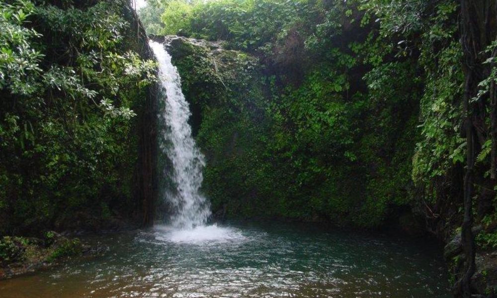 Apsarakonda Waterfalls