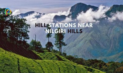 Discover The Astonishing Hill Stations Near Nilgiri Hills!