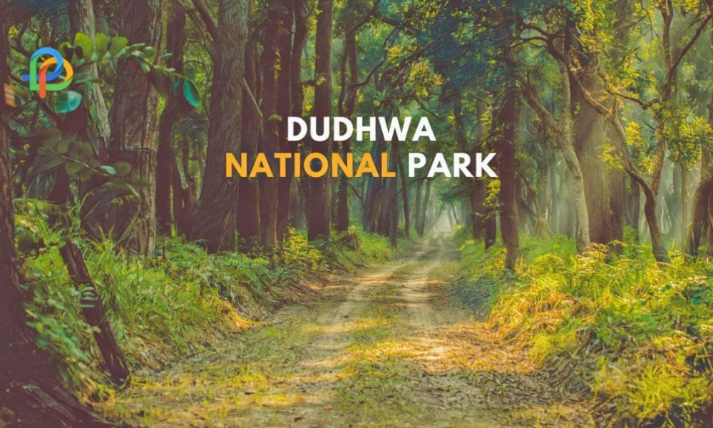 Dudhwa National Park Here Is The Detailed Travel Guide!