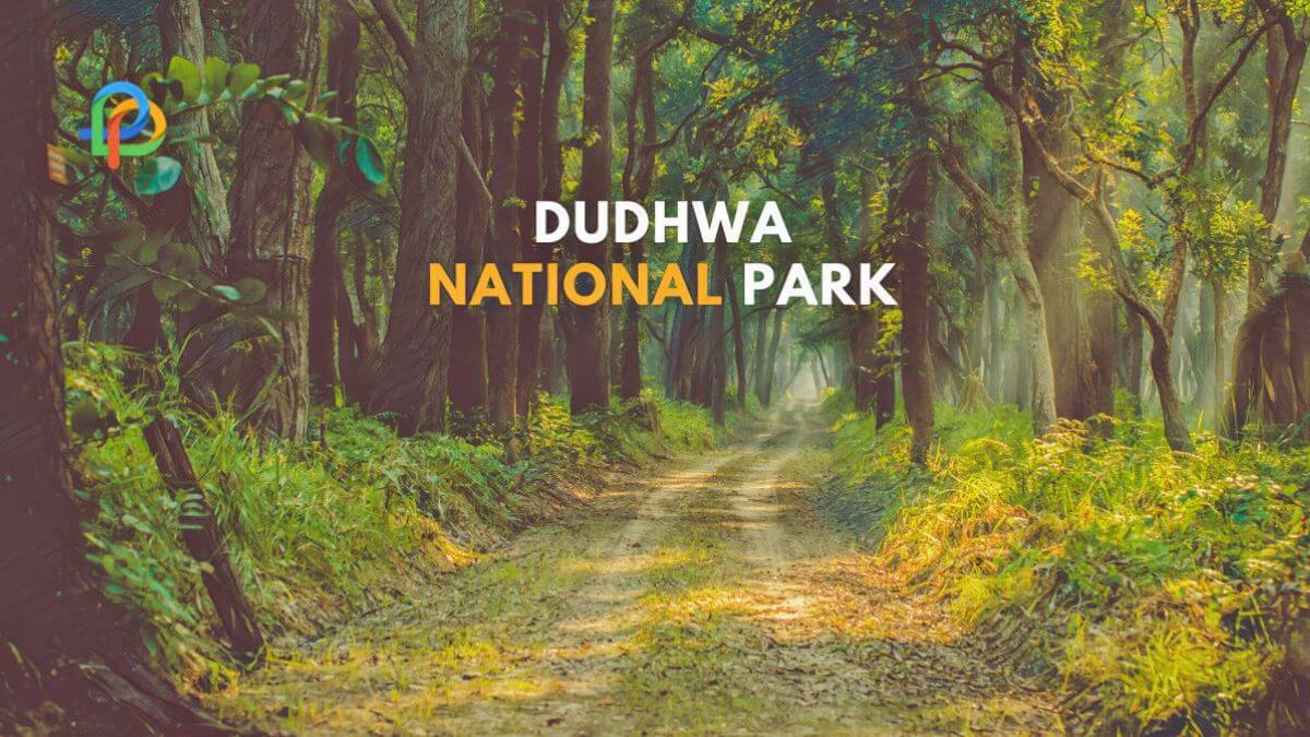 Dudhwa National Park Here Is The Detailed Travel Guide!
