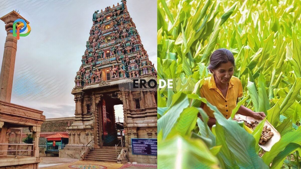 Erode Explore The Textile Hub In Tamil Nadu!
