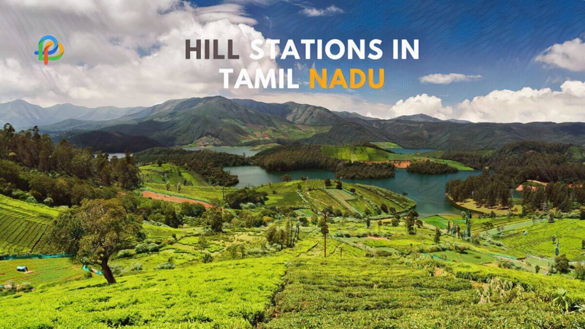 Explore The Mesmerizing Hill Stations In Tamil Nadu-2023