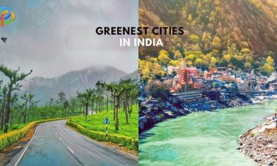 Explore The Top Greenest Cities In India!